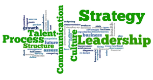 leadership competencies