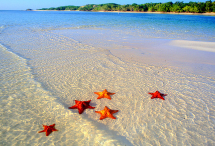 When Your Matter of Perspective Backfires – the Story of the Starfish