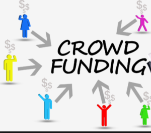 crowd fund examples
