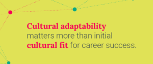 adaptability culture examples