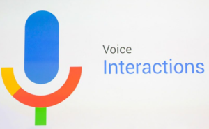 voice interaction