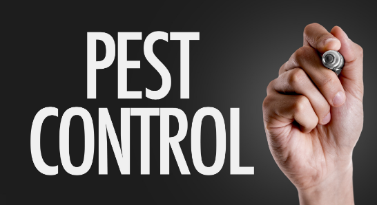 pest control brands
